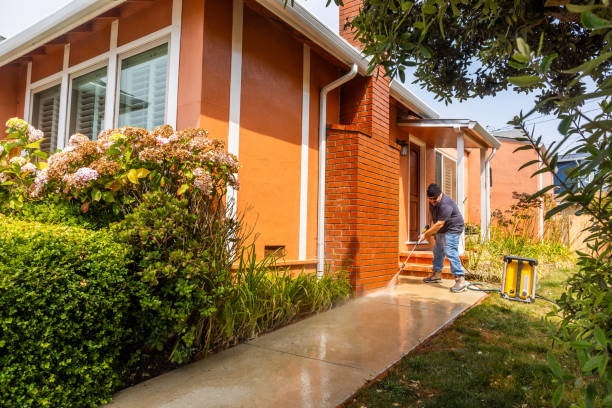 Best Exterior Home Cleaning  in Piedmont, AL
